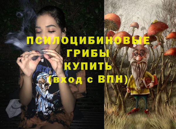 экстази Осташков