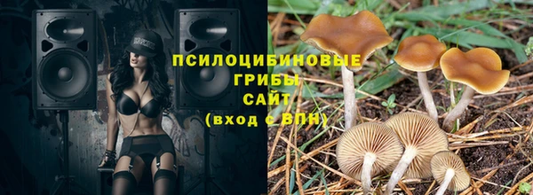 прущие крисы Абаза