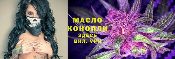 гашик Ветлуга