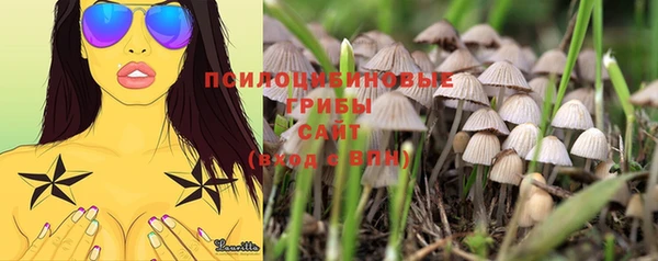 MESCALINE Осинники