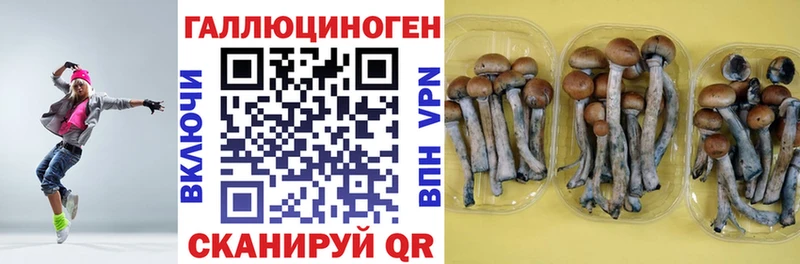 Псилоцибиновые грибы MAGIC MUSHROOMS Абинск
