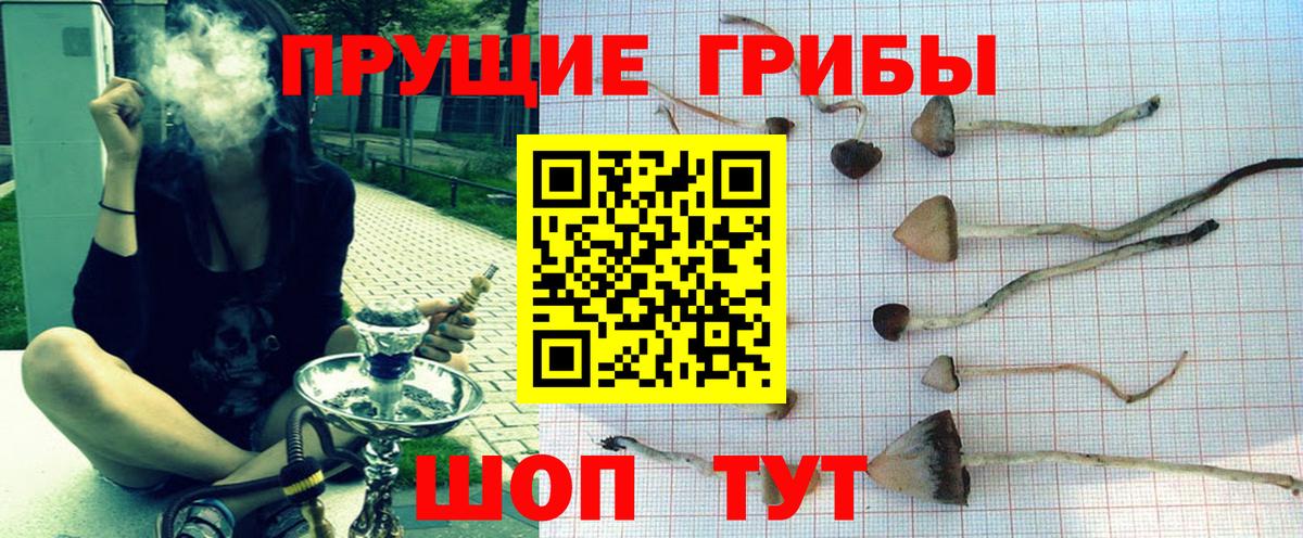 Псилоцибиновые грибы MAGIC MUSHROOMS Абинск